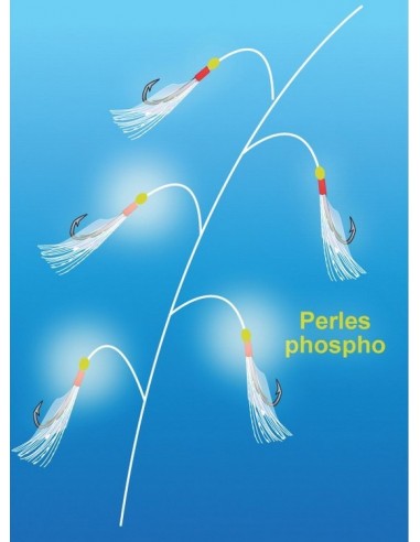 Jeu de plumes 5 hameçons leurre à maquereaux...