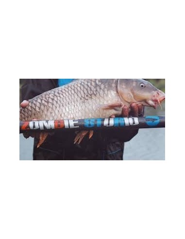 Canne spécimen Zombie Sturio 8m40 Garbolino