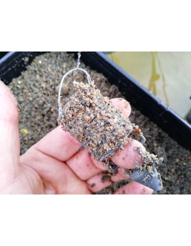 Cage Distance feeder Daiwa N'ZON LARGE