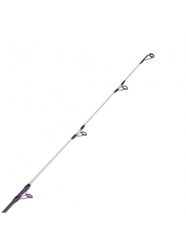 Canne Surf XENON PLASMA 4m50 Tronixpro