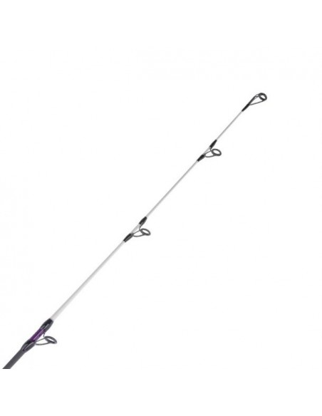 Canne Surf XENON PLASMA 4m50 Tronixpro