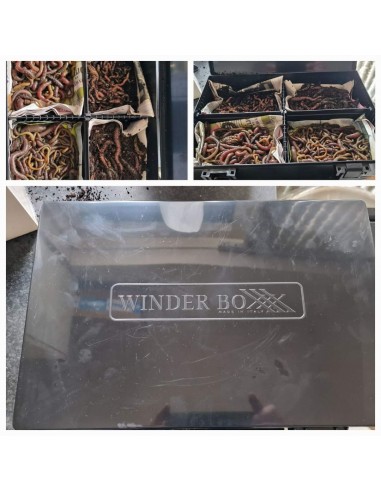 Caisse pour plioirs et accessoires Winder Boxxx...