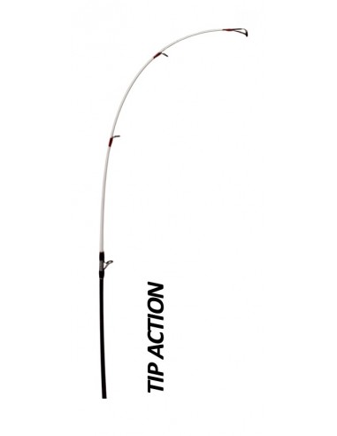 Canne Surf R4 SPECIAL BEACH 4m70 60-120gr. MED...