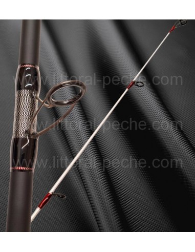 Canne Surf R4 SPECIAL BEACH 4m70 60-120gr. MED...