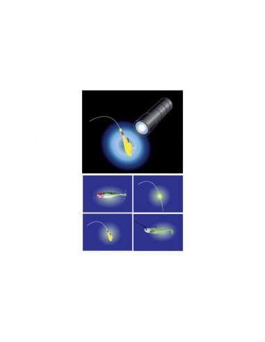 Mini torche U.V 12 Leds Flashmer