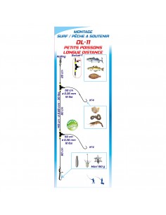 Montage DL11 Tout venant Flashmer