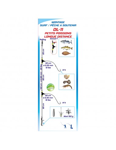 Montage DL11 Tout venant Flashmer