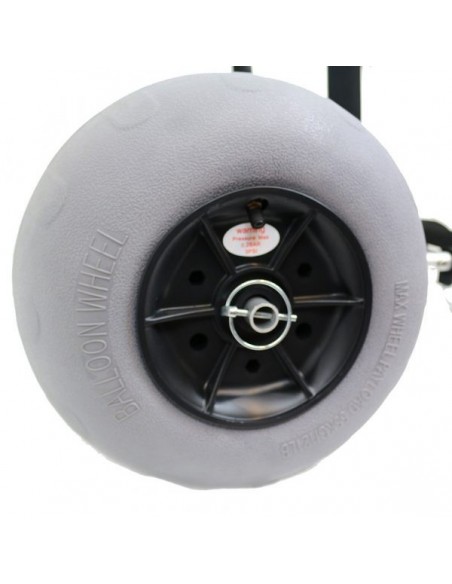 Chariot Beach Trolley Tronixpro